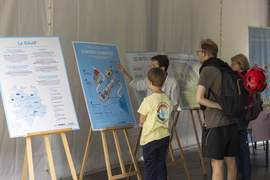 La Fête de la Lavande 2024